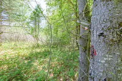 Lot 22 King Street, Oxford, ME 04270 - Photo 36