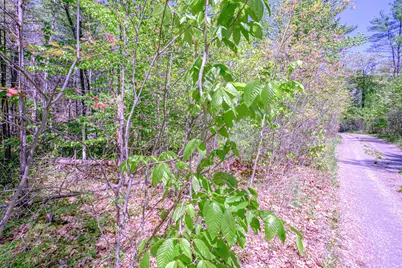 Lot 22 King Street, Oxford, ME 04270 - Photo 22