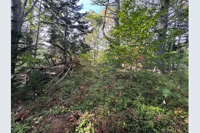 0 Main Road, Phippsburg, ME 04565 - Photo 6