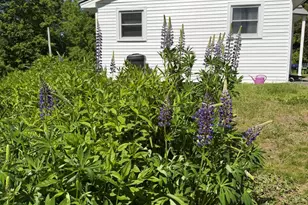 11 Mayo St, Dover Foxcroft, ME 04426 - Photo 40
