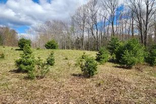 1333 Federal Rd, Livermore, ME 04253 - Photo 62
