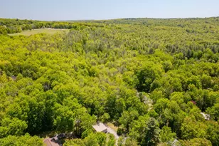 42 Birch Dr, Poland, ME 04274 - Photo 58