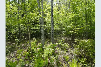 Lot 19-001 West Indian Road, Woodville, ME 04457 - Photo 10