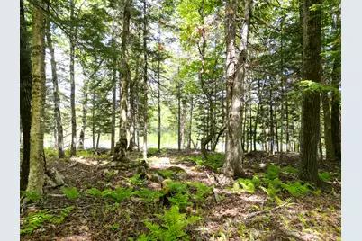 Lot 19-001 West Indian Road, Woodville, ME 04457 - Photo 12