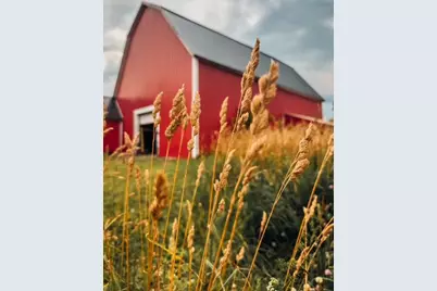 86 Williams Road, Presque Isle, ME 04769 - Photo 12