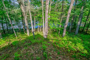 138 Long Pond Dr, Denmark, ME 04022 - Photo 20