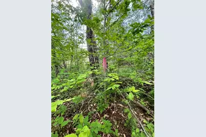 435 Lebanon Road, Winterport, ME 04496 - Photo 10
