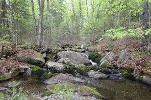198 Scammon Rd, Greenville, ME 04441 - Photo 22