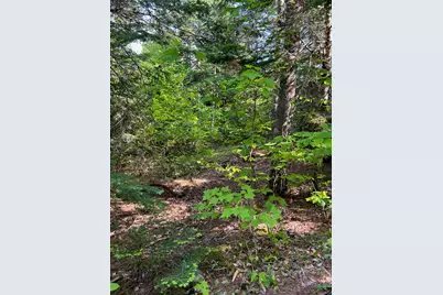60 Hutchinson Road, Linneus, ME 04730 - Photo 10