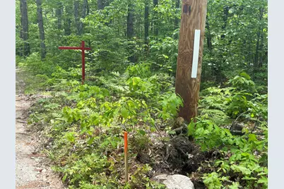0 Whitehouse Road, Newfield, ME 04095 - Photo 6