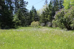 45 Kendall Head Rd, Eastport, ME 04631 - Photo 84