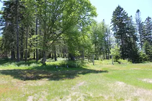 45 Kendall Head Rd, Eastport, ME 04631 - Photo 82