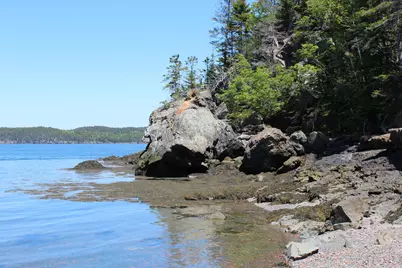 45 Kendall Head Road, Eastport, ME 04631 - Photo 76