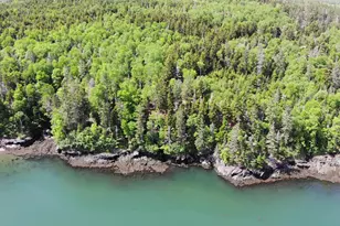45 Kendall Head Rd, Eastport, ME 04631 - Photo 10