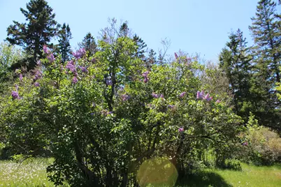 45 Kendall Head Road, Eastport, ME 04631 - Photo 62