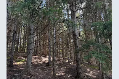M5L15 Off Alexander Road, Van Buren, ME 04785 - Photo 4