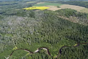 M5L15 Off Alexander Rd, Van Buren, ME 04785 - Photo 1