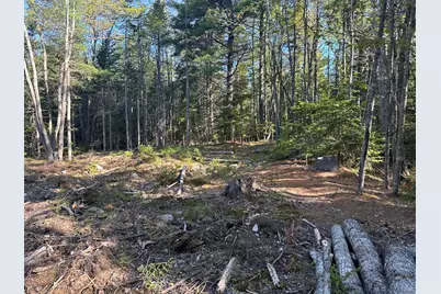 61 Gerards Trail, Blue Hill, ME 04614 - Photo 2