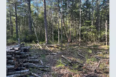 61 Gerards Trail, Blue Hill, ME 04614 - Photo 4