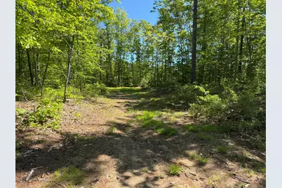 00 Hogfat Hill Road, Sebago, ME 04029 - Photo 48