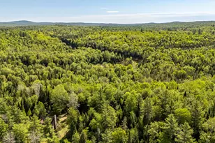 131 Gales Rd, Abbot, ME 04406 - Photo 110