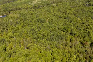 131 Gales Rd, Abbot, ME 04406 - Photo 126