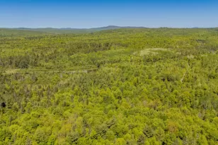 131 Gales Rd, Abbot, ME 04406 - Photo 128