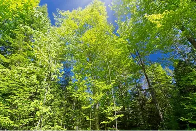 0000 Baker Brook Road, Bradley, ME 04411 - Photo 8
