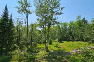 271 Bigelow Rd, Saint Albans, ME 04971 - Photo 52