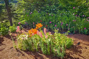 6 Cliffhanger Ln Seal Harbor, Mount Desert, ME 04675 - Photo 46