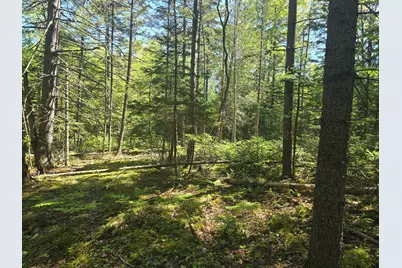 0 Boothbay Road, Edgecomb, ME 04556 - Photo 6
