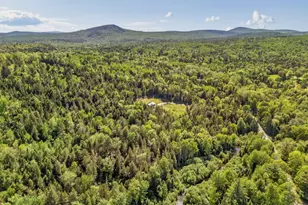 49 Tannery Loop Rd, Amherst, ME 04605 - Photo 62