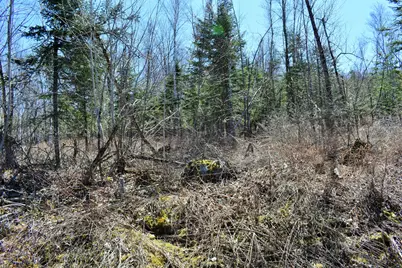 L 72,Po 90 Cotta Lane & Rt 43 (L90), Saint Albans, ME 04971 - Photo 24