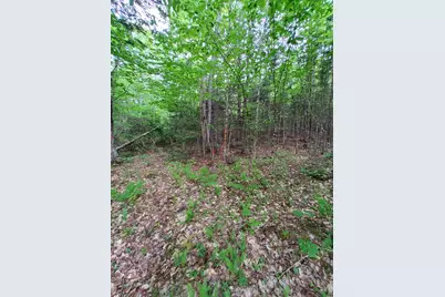 Lot 50 (Map 14), Andover, ME 04216 - Photo 2
