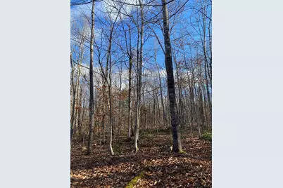 Lot 023 Pleasant Ridge Road, Dexter, ME 04930 - Photo 4