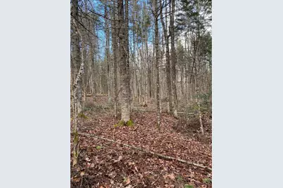 Lot 023 Pleasant Ridge Road, Dexter, ME 04930 - Photo 4