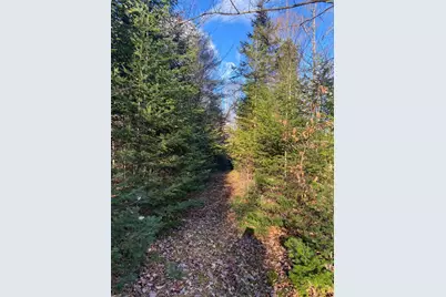 Lot 023 Pleasant Ridge Road, Dexter, ME 04930 - Photo 8