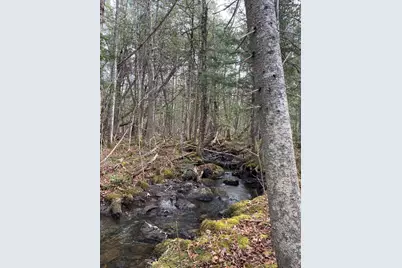 Lot 023 Pleasant Ridge Road, Dexter, ME 04930 - Photo 2