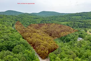 R09-0051+b Richardson Rd, Hiram, ME 04041 - Photo 1