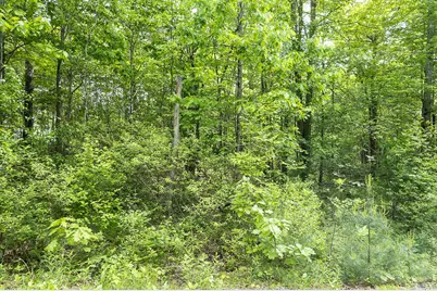 1171 Plains Road, Litchfield, ME 04350 - Photo 8