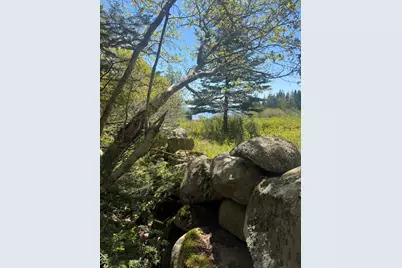 Lot #5 George Wright Road, Vinalhaven, ME 04863 - Photo 24