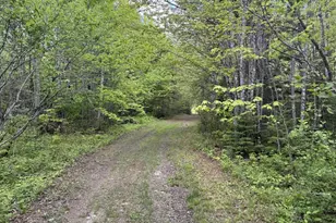 328 Clark Road Rd, Merrill, ME 04780 - Photo 54