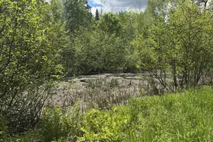 328 Clark Road Rd, Merrill, ME 04780 - Photo 60