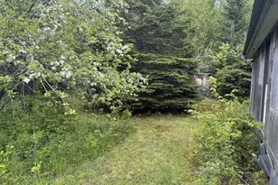 328 Clark Road Rd, Merrill, ME 04780 - Photo 38