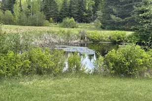 328 Clark Road Rd, Merrill, ME 04780 - Photo 44