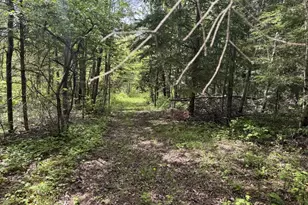 328 Clark Road Rd, Merrill, ME 04780 - Photo 56