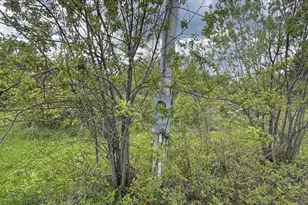 328 Clark Road Rd, Merrill, ME 04780 - Photo 42