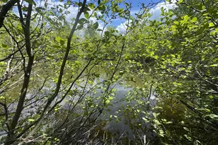 328 Clark Road Rd, Merrill, ME 04780 - Photo 50