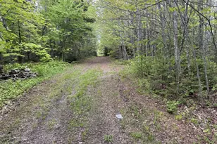 328 Clark Road Rd, Merrill, ME 04780 - Photo 62