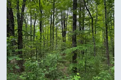46 Dore Hill Road, Athens, ME 04912 - Photo 10